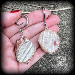 Raw agate slice gauged earrings