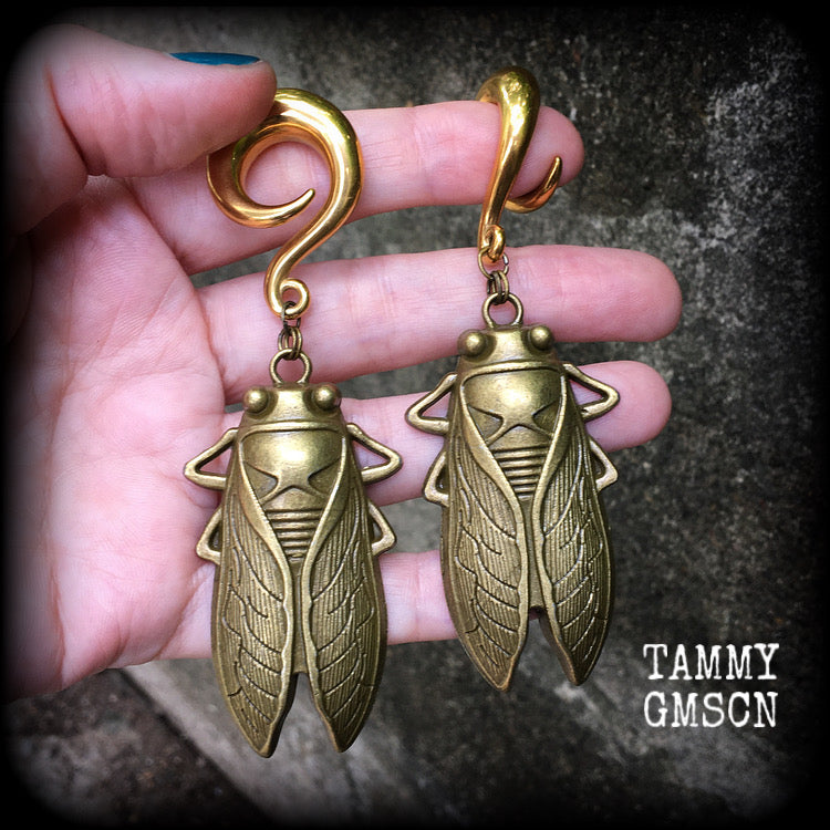 Bronze cicada earrings-Locust gauged earrings