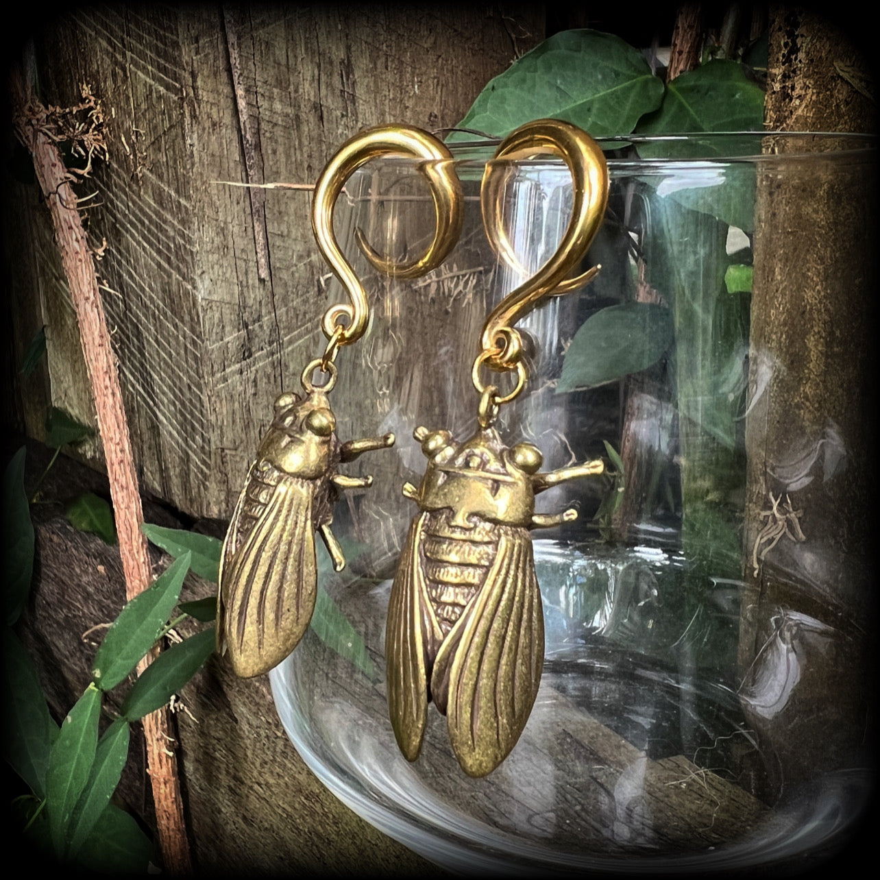 Brass cicada ear weights Insect ear weights 6 gauge ear weights Ear hangers Stretched lobes 6g 2g 0g 00g 1/2” 9/16” 5/8” 3/4” 7/8” 1” 1.10” Body jewellery Gauged ears Gauged earrings