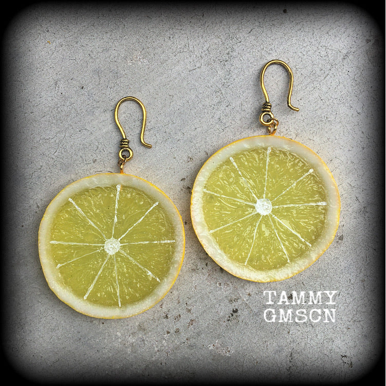 Lemon earrings-Fruit slice earrings