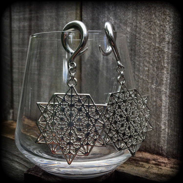 Metatrons cube gauged earrings