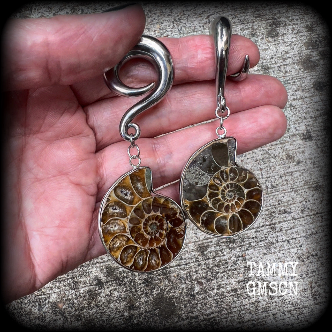 Ammonite earrings Ammonite ear hangers Ammonite ear weights Ammonite jewelry Ammonite jewellery Fossil earrings Fossil jewelry Fossil ear weights Gauged earrings Nautilus jewelry Nautilus earrings 6mm 8mm 10mm 12mm 14mm 16mm 19mm 22mm 25mm 28mm 30mm 