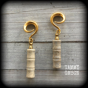 Fossilized coral gauged earrings