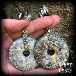 Crinoid fossil gauged earrings-Ear weights