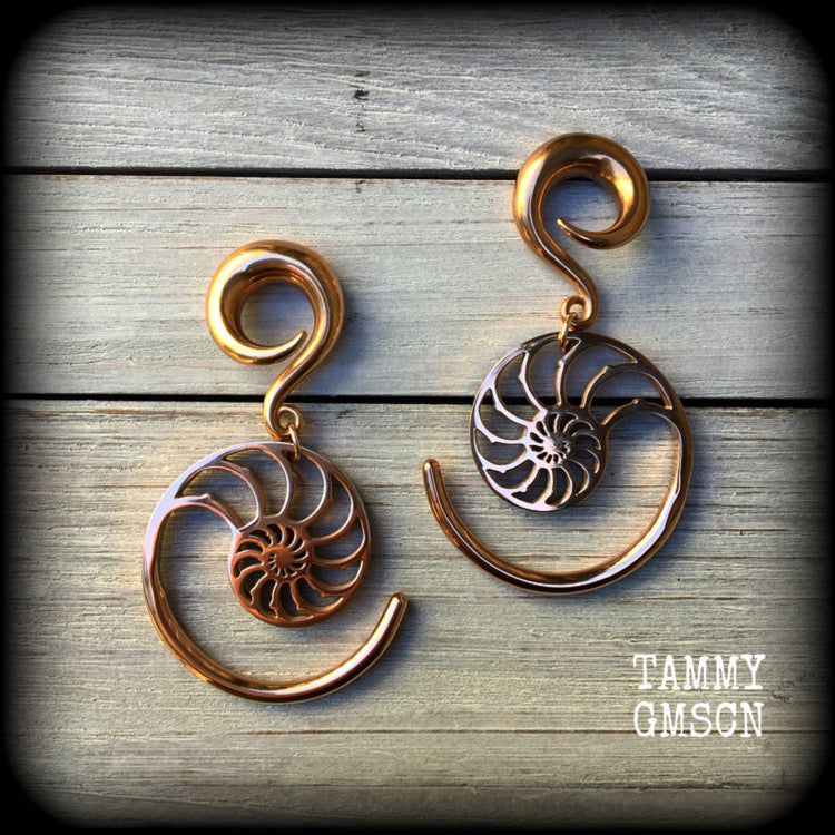 This is a pair of gorgeous pink titanium nautilus spiral earrings, available on a range of hooks and clasps for pierced ears and stretched lobes.