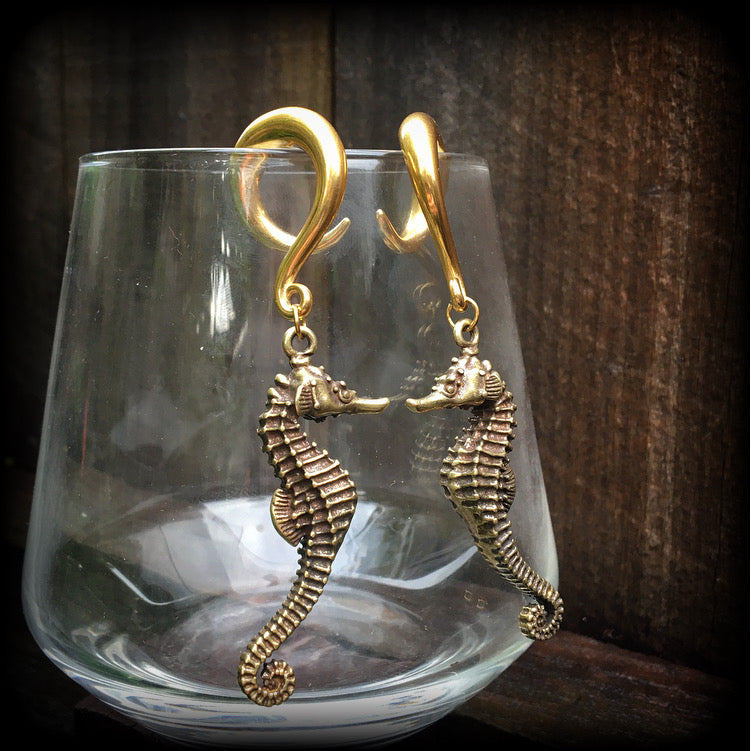 Seahorse gauged earrings