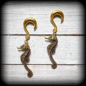 Seahorse ear weights-Gauged earrings