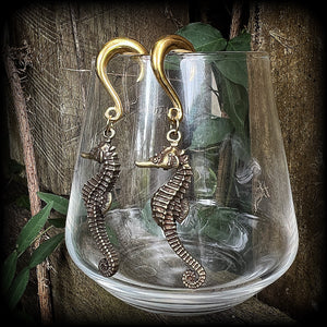 Seahorse ear weights-Gauged earrings